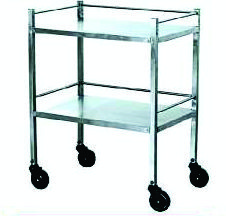 SS Container with Trolley